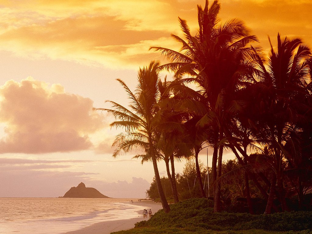 Sunset Palms, Hawaii